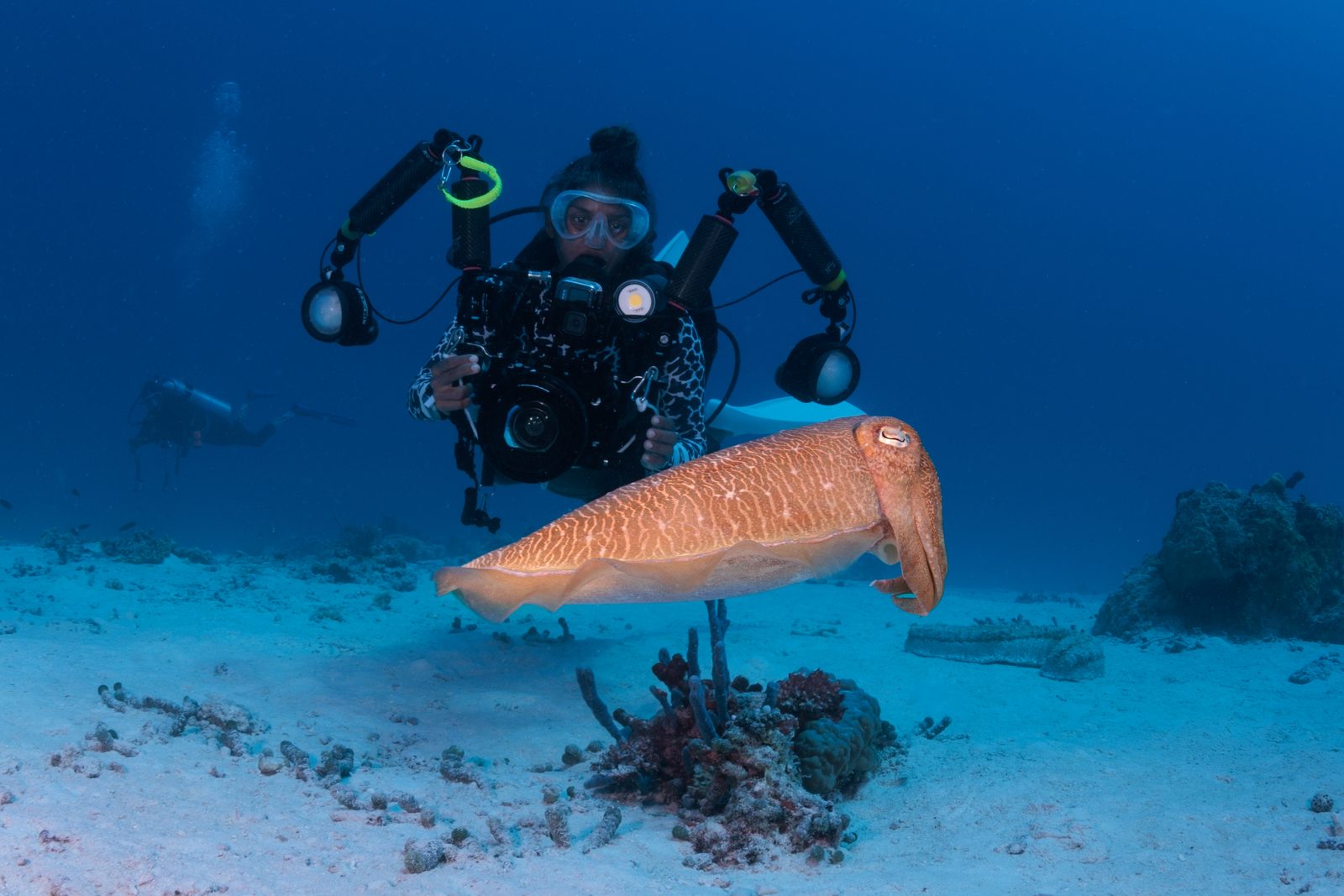 When to dive Fulidhoo: a month-by-month guide
