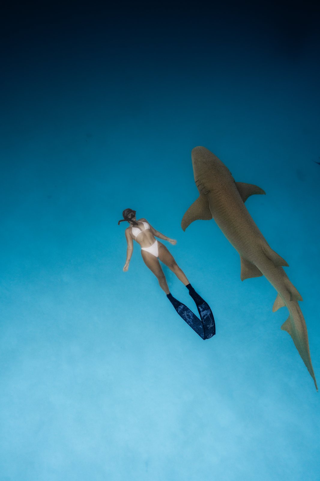 Snorkeling Vaavu